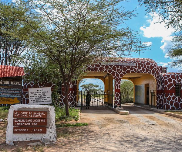 2 Nights 3 Days Samburu National Reserve Safari