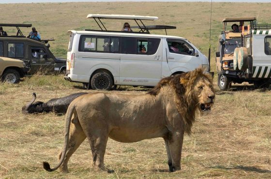 3-Day, 2-Night Maasai Mara Safari Package