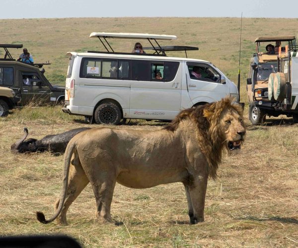 3-Day, 2-Night Maasai Mara Safari Package